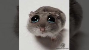 🖕🖕🖕🖕🖕🖕🖕🖕🖕