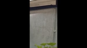 мой клип в честь 15 подписчиков 🥳🥳