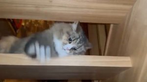 НЕМНОГО ЮМОРА