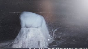 VID_20250922_172257.mp4