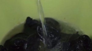 Мясные рулетики с черносливом и курагой