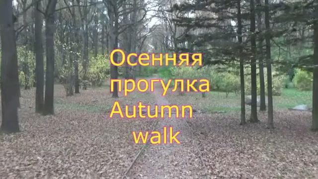 Осенняя прогулка - 1. Сергей Чекалин