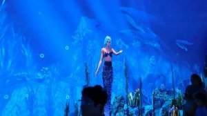 17=09=2025  КРАСНОДАР  ПАРК  ГАЛИЦКОГО.   (11)