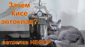 Автоклав для нашей Кисы. Автоклав НЕФОР.