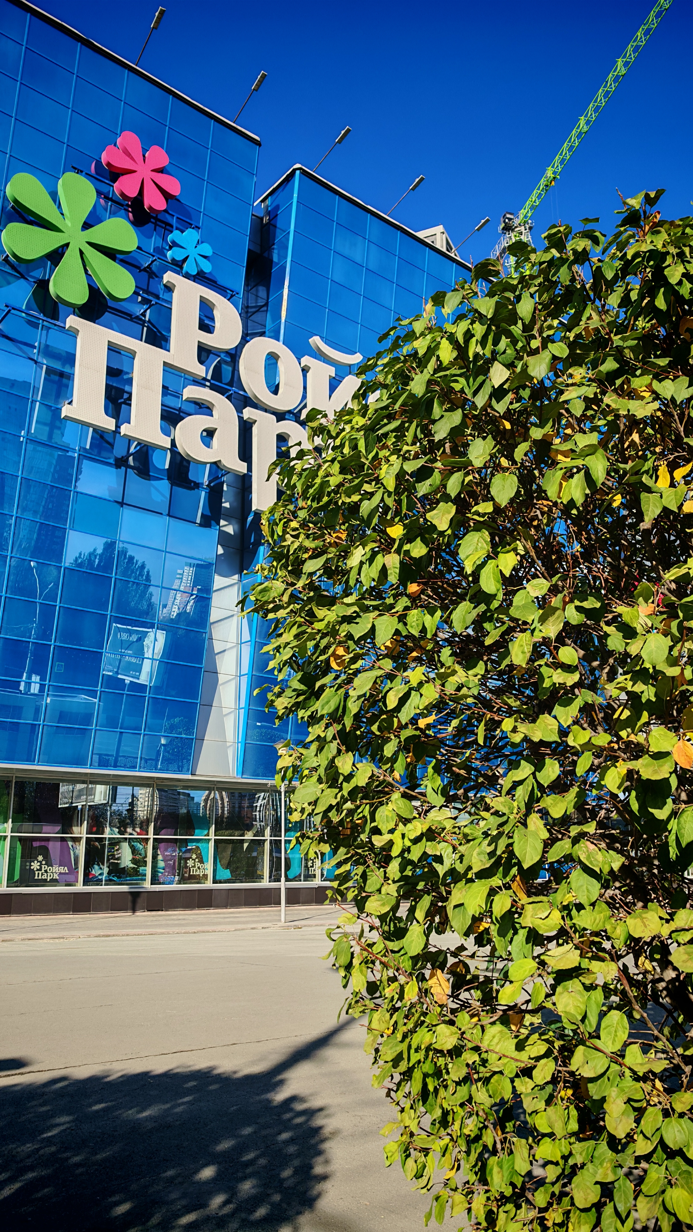 Как мы встречаем октябрь 🍂 смотреть онлайн