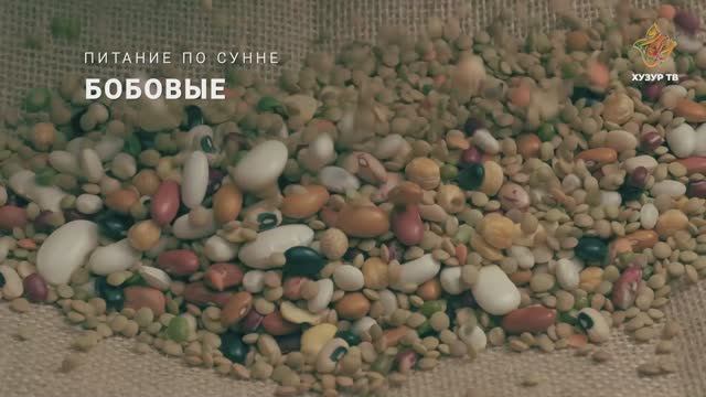 Бобовые | Питание по сунне