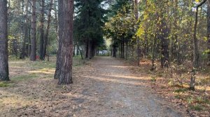 Очередной отдых в парке - часть 2