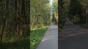 Вело-прогулка Черняевский лес Пермь