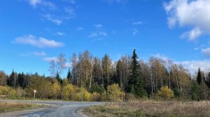 ПЕРВЫЙ СНЕГ НА УРАЛЕ / УБРАЛИ КАПУСТУ / СХОДИЛ ЗА ГРИБАМИ