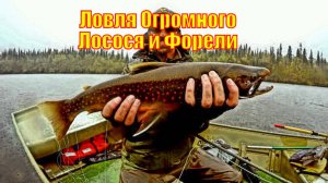 Ловля Нахлыстом Огромного Лосося и Форели в Бристольском заливе, Аляска