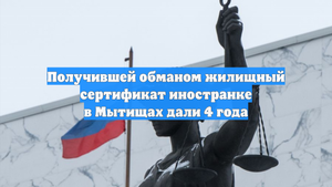 Получившей обманом жилищный сертификат иностранке в Мытищах дали 4 года
