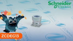 ZCDEG13 Сальник для ввода Schneider Electric - Олниса