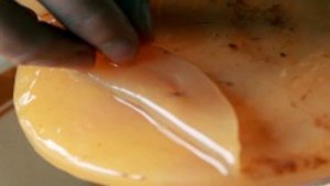 Квас из гриба