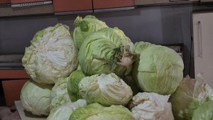 ведро моркови и почистила капусту на завтра