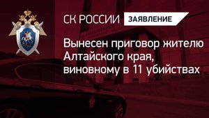 Вынесен приговор жителю Алтайского края, виновному в 11 убийствах