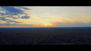 Россия. Сибирь. Тайга.
