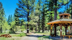 759.Радиоэмма. Про несбытие наших мечт☺️.