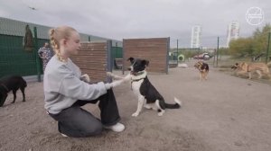 Россия мои горизонты 18 сентября 2025г.Видеоролик «Действия»