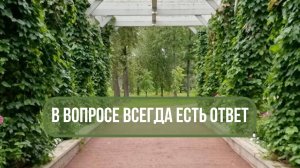 Синхроничность и зеркало жизни