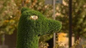 Подростки-вандалы портят город?