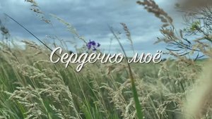 Сердечко моё