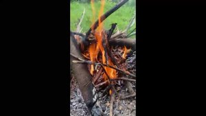 Замужество