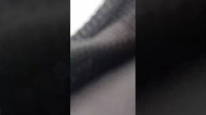 стрим в школе