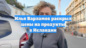 Илья Варламов раскрыл цены на продукты в Исландии