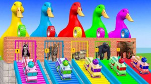 Человек-паук с горилкой-коровай слоной Угадайте, что в правую дверь выбежают из комнаты. Игра по шин