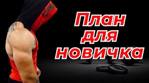 С ЧЕГО НАЧАТЬ В ЗАЛЕ? Полный план тренировок для новичка