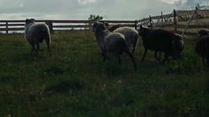 Кирилл Янковский | ТОЧКА.РФ – МЕСТО | г. Волжск