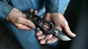 Японские ручные садовые инструменты. Выбираем лучшие секаторы и пилы.