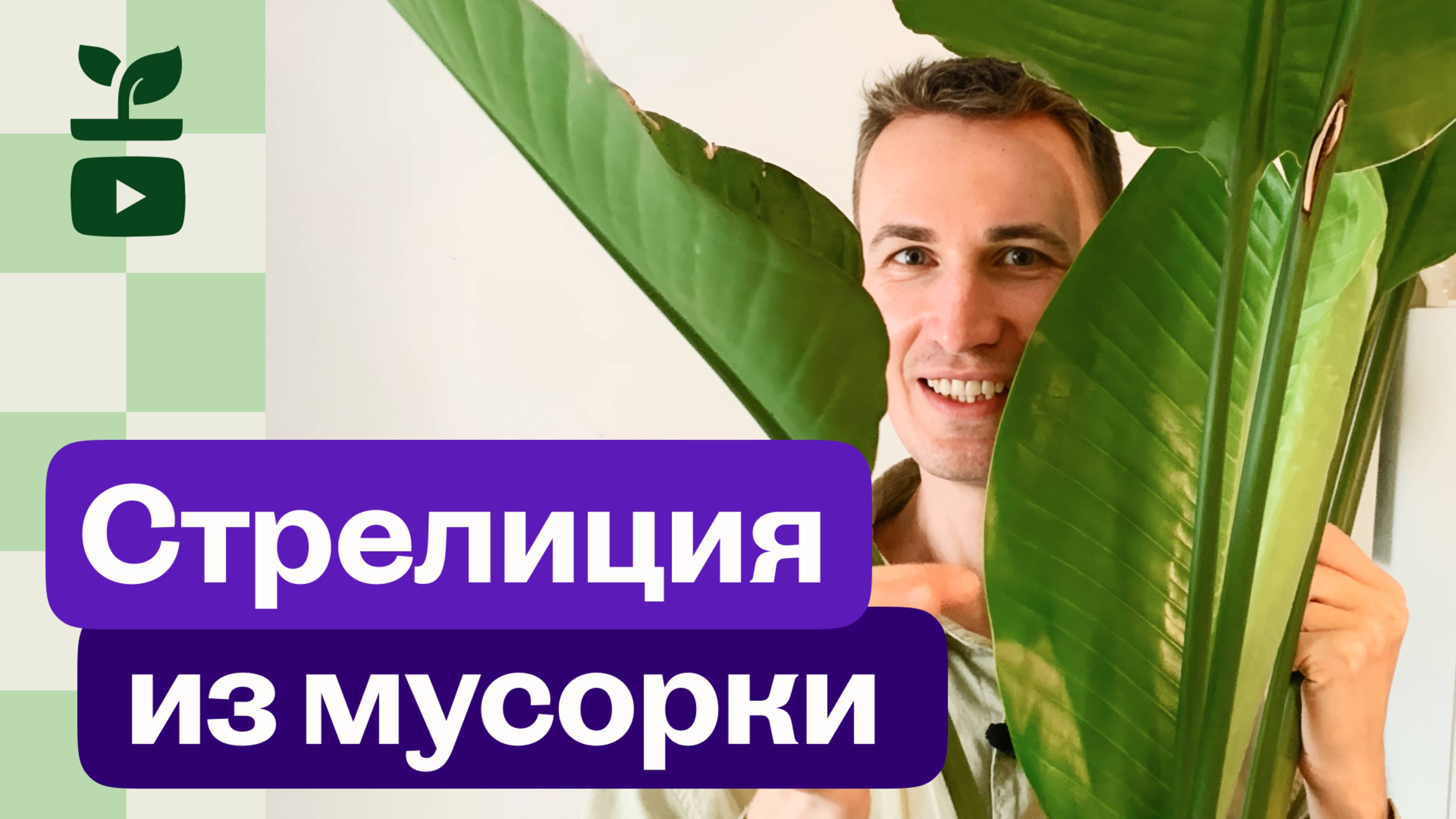 Стрелиция Николая. Из мусорки — в горшок!