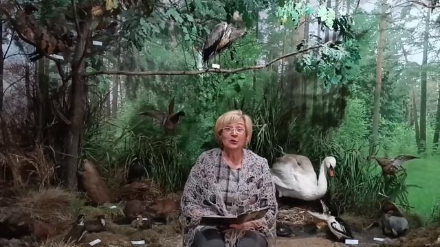 Русская народная сказка "Лиса и журавль"