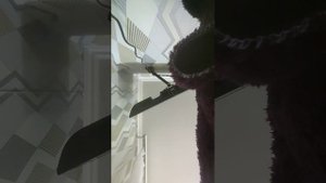 вечный эфир