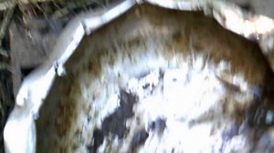 Обзор: "Вот к чему приводит привычка мыть ноги в поилке"