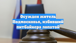 Осужден житель Подмосковья, избивший питбайкера лопатой