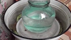 Квашеная капуста без соли