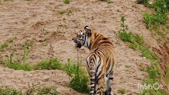 ЗЕМЛЯ ПРАЙДА2 смотреть онлайн