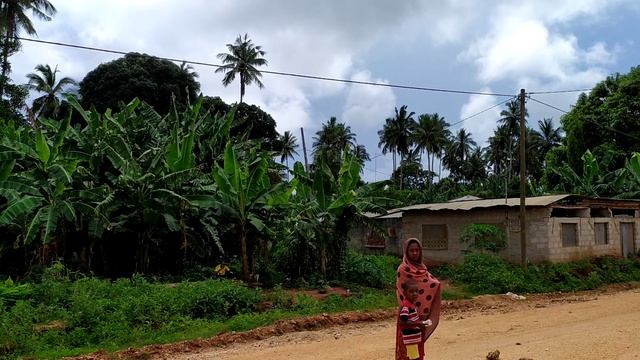 Дорога в Джамбиани мимо занзибарских деревень!Много бананов и манго по пути!
