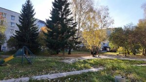 Осенний Краснообск 2025