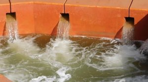 27=09=2025     КРАСНОДАР . ПАРК  СЕРГЕЯ ГАЛИЦКОГО.  ДЕНЬ ГОРОДА.  232  ГОДОВЩИНА.  JPG (26)