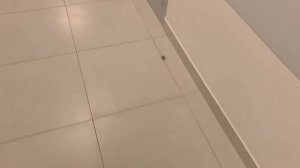 Монтаж сплит системы в рентген кабинет.