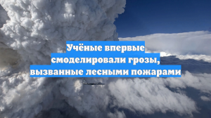 Учёные впервые смоделировали грозы, вызванные лесными пожарами