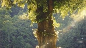 Слушать рассказ  -  Она забрала у меня первую любовь- Удивительные истории из жизни