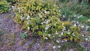 Прогулка вокруг Везёлки 12.09.25.