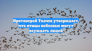Протоиерей Ткачев утверждает, что птицы небесные могут осуждать людей