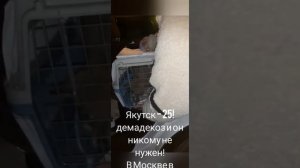 01-10-2025 теперь он Ричи!