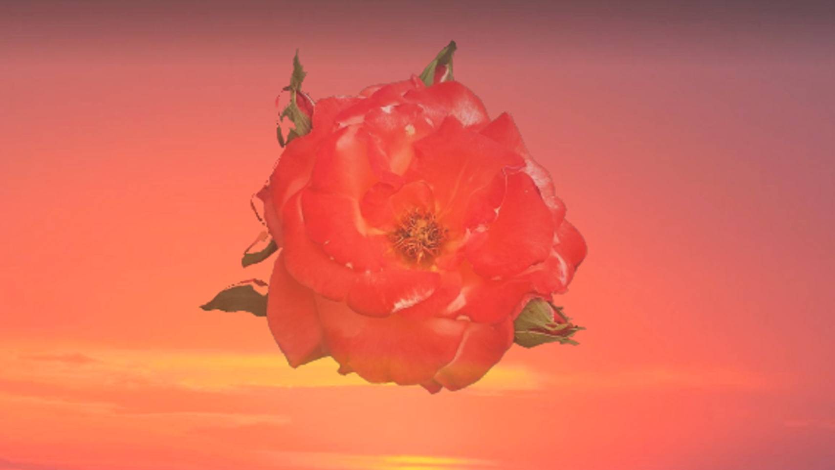 "Октоих", С.А. Есенин. смотреть онлайн