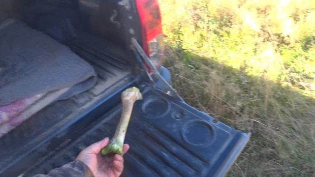 Одна Звонка с "трофеем"))) смотреть онлайн